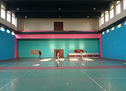 images of D Y Patil College badminton court